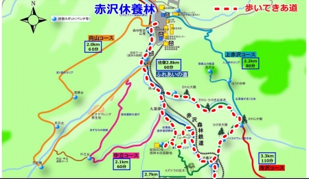 １赤沢自然林地図