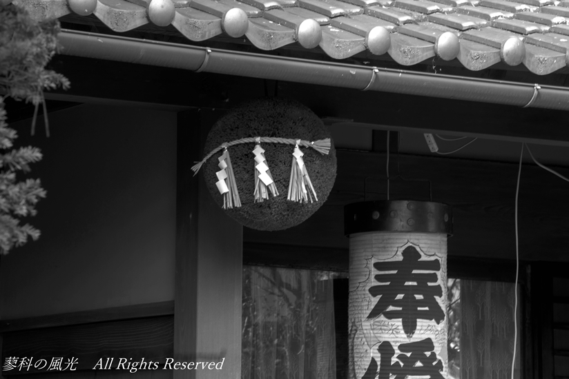 松本　沙田神社　御柱祭