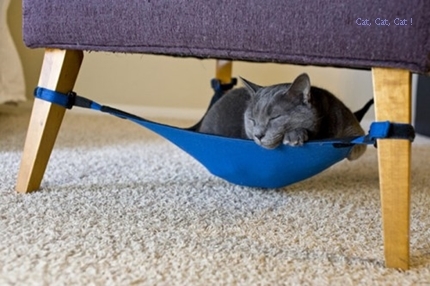 cat-in-the-crib.jpg