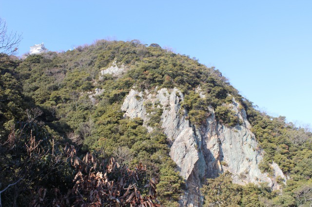 金華山の岩壁