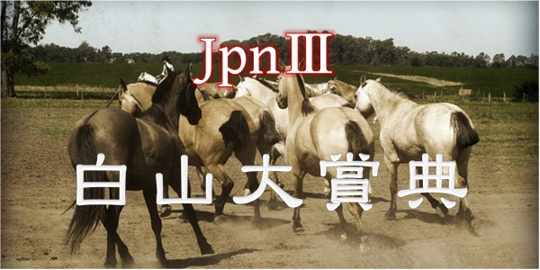 Jpn3　白山大賞典600-300