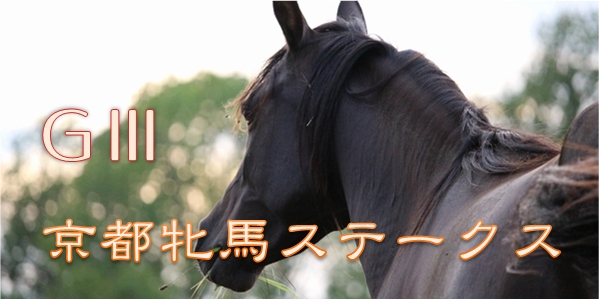 G3　京都牝馬ステークス600-300