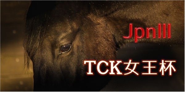 Jpn3　TCK女王杯600-300
