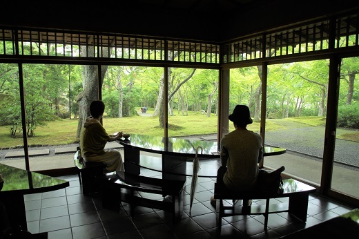 茶室「真和亭」からの苔庭