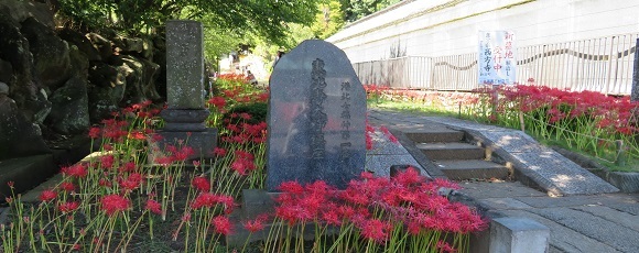 ヒガンバナの咲く西方寺参道