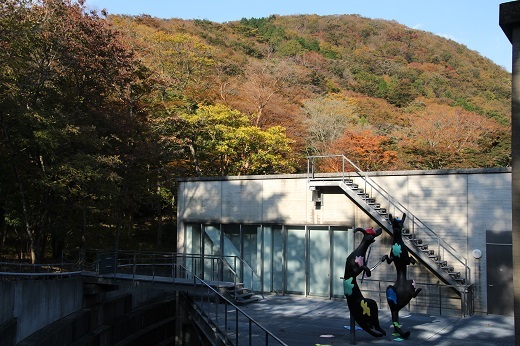 美術館背後の小塚山の紅葉