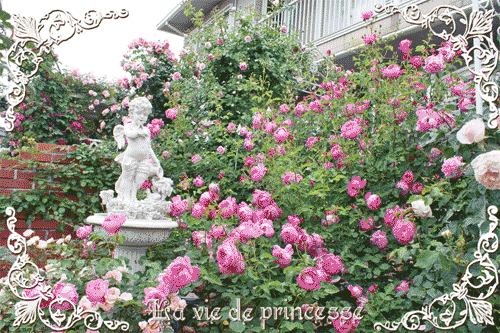 ２０１７年　１１月　天使の薔薇庭　