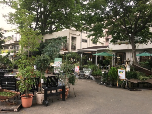 練馬区の園芸店 渋谷園芸 庭にいます