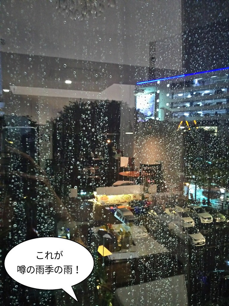 これが噂の雨季の雨！