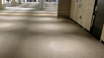 月がきれい　東京駅 (18)